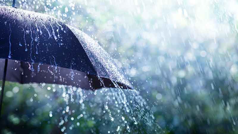 Raindrops cascading off a black umbrella, representing the protection of umbrella insurance.